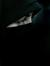 Hafsa S...