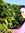 Karen | 3 comments