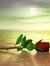 Anshu U...