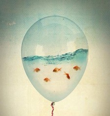 مشاعل المالكي