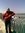 Ahmed S...