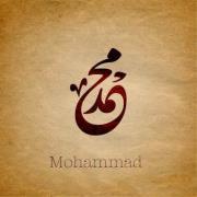 Mohamed Sadek