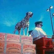 Jessethejackhammer Mitchell