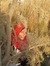Farida ...