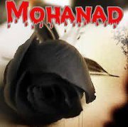 Mohanad El-metaal