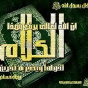 أنس الشويهدي