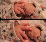 סיואר טרביה