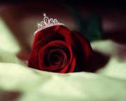 راجيه الغفران