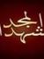 Walid S...