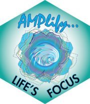 Amplify Focus