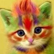 Melissa Anthony plaisted