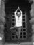 Sridhar...