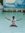 Rubel R...