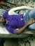 Livan K...