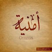 Omnia Yousri