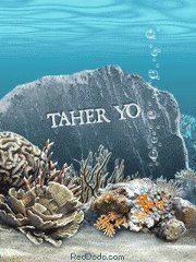 Taher Yo