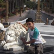 Diaa Mahmoud