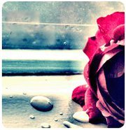 فصوولي المطيري