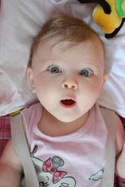 Mohammed Abd el nasser