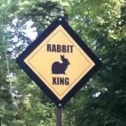 Karen-craffigan Argyle