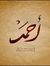 Ahmed E...