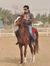 Ahmed M...