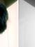 Junaid ...