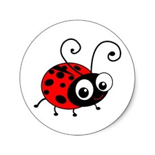 Ladybug