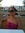 Louana