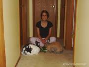 Michele Sauer powers