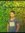 Mohamed Hamdy
