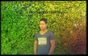 Mohamed Hamdy