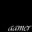 Aamer