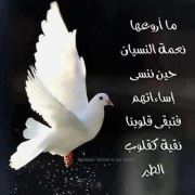 Hams Al