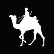 Ahmed El