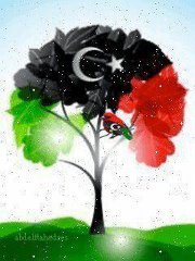 أبوبكر الغصني