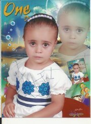 محمود ابو الحاج