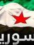Ahmed E...