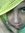 Kenny Dewi