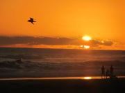 Ingrid Raichensztein