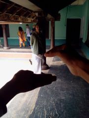 Athul Prabhakaran
