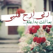 ميرة الصحروية