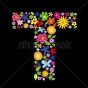 طارق ابوالعز