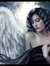 Arvion ...