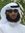 عبدالله...