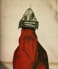 جارة الوادي mtr