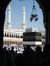 Tarek H...