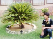 Arham Imtiaz