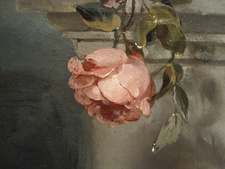 Rosie Read