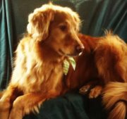 Barbie O'brien walsh